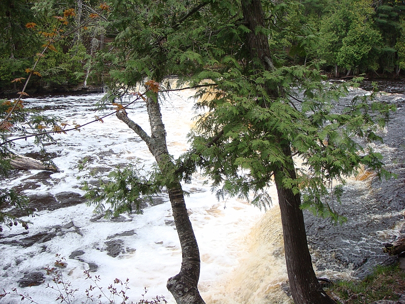 273 Memorial Day [2008 May 23].JPG - Scenes from Tahquanemon Falls in the Michigan Upper Peninsula.